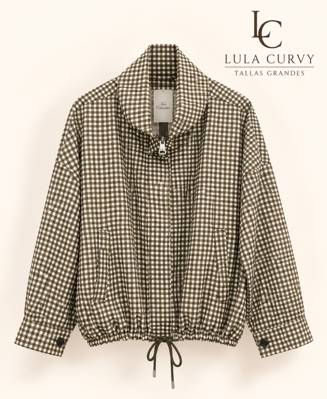 Bomber Vichy
